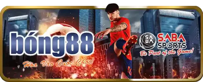 Cá cược bóng rổ tại 888to31